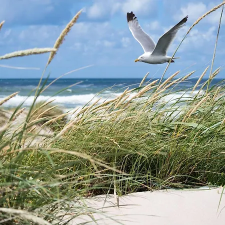 In Het Zoute With Side Sea View アパート *