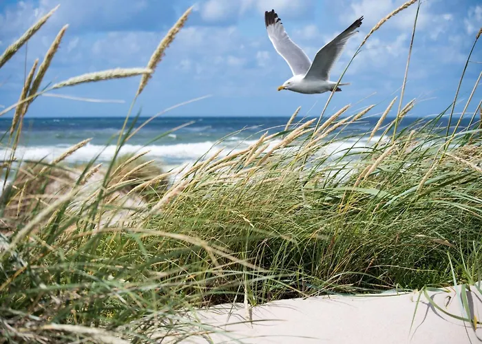 In Het Zoute With Side Sea View דירה *